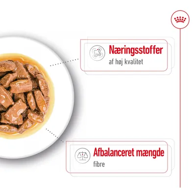 Skål med vådfoder. Tekst: Næringsstoffer af høj kvalitet, Afbalanceret mængde fibre.