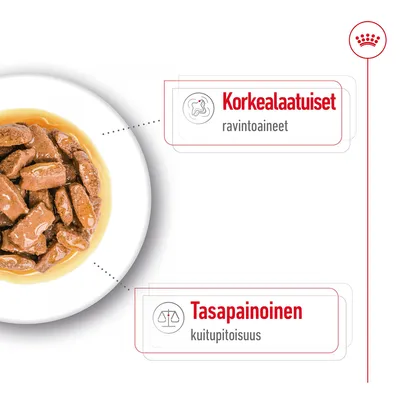Lautasella paloja kastikkeessa, tekstit: Korkealaatuiset ravintoaineet, Tasapainoinen kuitupitoisuus