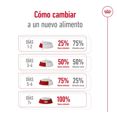 Tabla de cambio a nuevo alimento: días 1–2, 25% nuevo y 75% actual; días 3–4, 50% cada uno; días 5–6, 75% nuevo y 25% actual; días 7+, 100% nuevo alimento.
