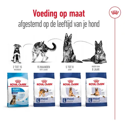 Royal Canin hondenvoer voor verschillende leeftijden: Puppy Maxi 2–15 maanden, Maxi Adult tot 5 jaar, Maxi Adult 5+ 5–8 jaar, Maxi Ageing 8+ ouder dan 8 jaar. Voeding op maat.