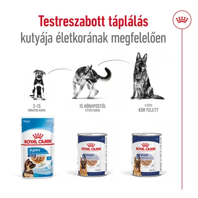 Royal Canin kutyatáp: Puppy 2–15 hónapos korig, Maxi Adult 15 hónapostól 5 éves korig, Maxi Ageing 5 éves kor felett. Testreszabott táplálás életkor szerint.