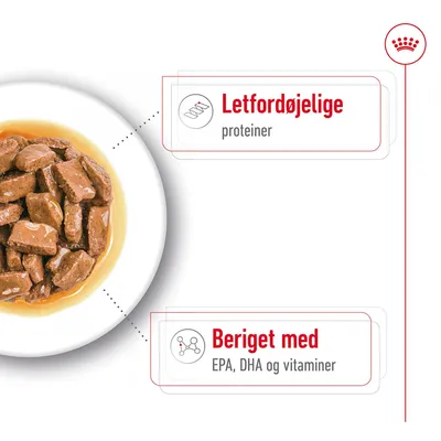 Letfordøjelige proteiner. Beriget med EPA, DHA og vitaminer. Billede af vådfoder i sovs på en hvid tallerken.