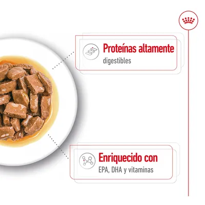 Comida húmeda en trozos con salsa. Texto visible: 'Proteínas altamente digestibles' y 'Enriquecido con EPA, DHA y vitaminas'.