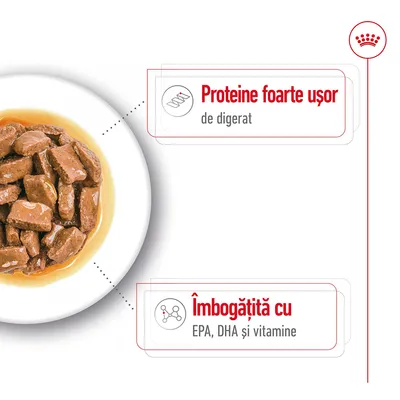 Proteine foarte ușor de digerat. Îmbogățită cu EPA, DHA și vitamine.