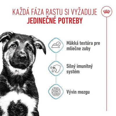Royal Canin Maxi Puppy v omáčke