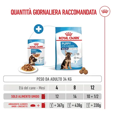 Royal Canin Maxi Puppy umido in salsa per cani