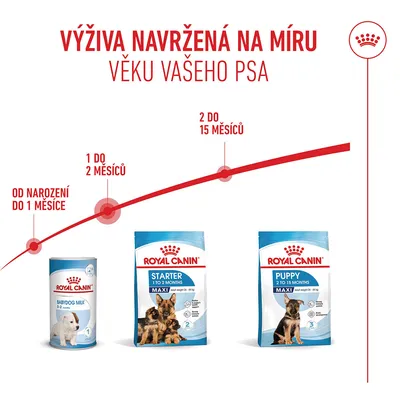 Royal Canin Baby Dog Milk 0–2 měsíce, Starter Maxi 1–2 měsíce, Puppy Maxi 2–15 měsíců. Doporučení pro krmení podle věku psa. Royal Canin Baby Dog Milk 0–2 měsíce, Starter Maxi 1–2 měsíce, Puppy Maxi 2–15 měsíců. Doporučení pro krmení podle věku psa.
