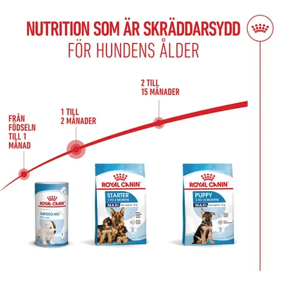 Royal Canin Maxi Starter Mother & Babydog Royal Canin Maxi Starter Mother & Babydog