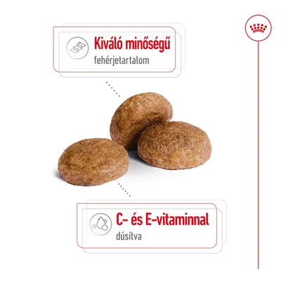 Három barna száraztáp szem, feliratok: Kiváló minőségű fehérjetartalom, C- és E-vitaminnal dúsítva.