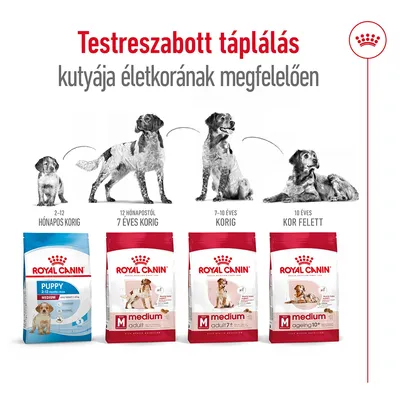 Royal Canin kutyatápok: Puppy 2–12 hónapos korig, Medium Adult 12 hónapostól 7 éves korig, Medium Adult 7+ 7–10 éves korig, Medium Ageing 10+ 10 év felett.