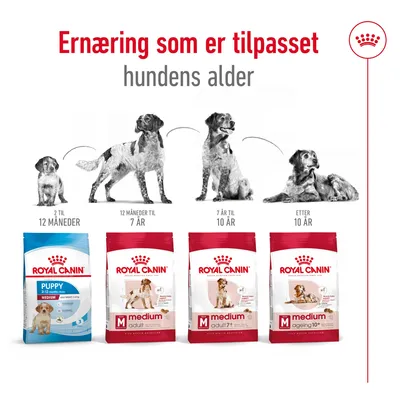Royal Canin Medium Adult 7+