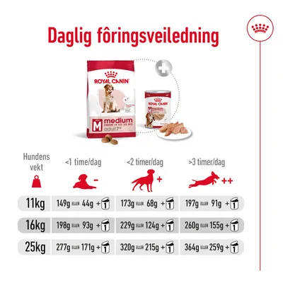 Royal Canin Medium Adult 7+