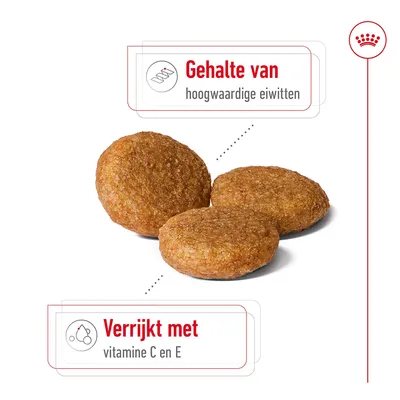 Drie brokken met tekst: Gehalte van hoogwaardige eiwitten. Verrijkt met vitamine C en E.