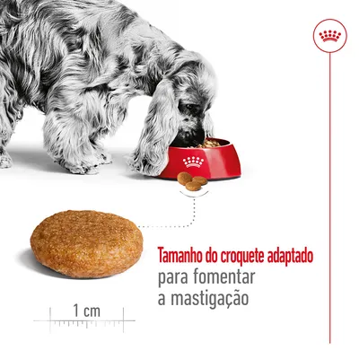 Cão a comer de uma taça vermelha, croquete de ração com 1 cm de diâmetro em destaque. Texto: 'Tamanho do croquete adaptado para fomentar a mastigação'.