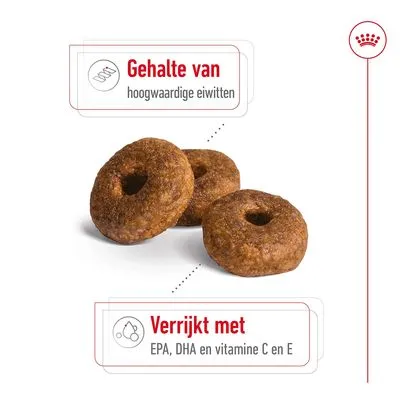 Royal Canin Medium Ageing 10+ Hondenvoer