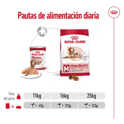 Pautas de alimentación diaria Royal Canin Medium Ageing 10+: para perros de 11 kg, 1 lata + 67 g; 16 kg, 1 lata + 123 g; 25 kg, 1 lata + 213 g.