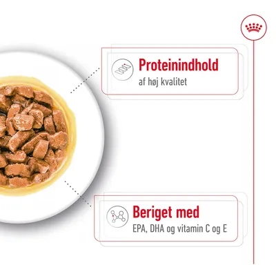 Proteinindhold af høj kvalitet. Beriget med EPA, DHA og vitamin C og E.