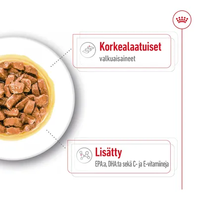 Korkealaatuiset valkuaisaineet. Lisätty EPA:ta, DHA:ta sekä C- ja E-vitamiineja.