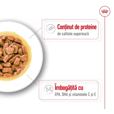 Conținut de proteine de calitate superioară. Îmbogățită cu EPA, DHA și vitaminele C și E.