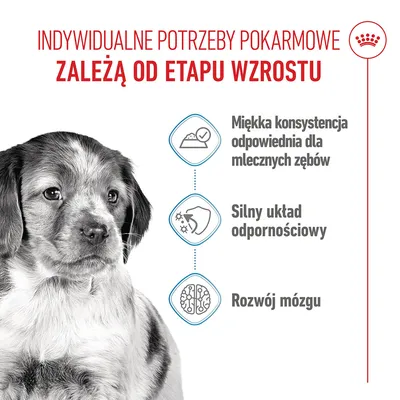 Royal Canin Medium Puppy w sosie Royal Canin Medium Puppy w sosie