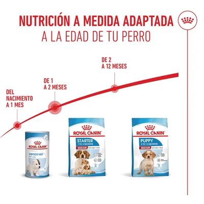 Royal Canin Medium Starter Mother & Babydog