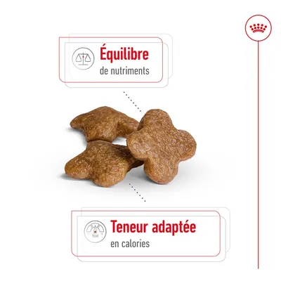 Croquettes en forme de croix avec texte : Équilibre de nutriments, Teneur adaptée en calories. Marque non précisée visible.