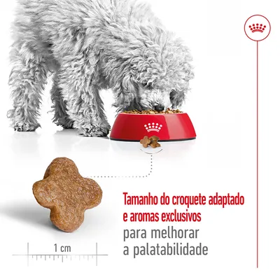 Cão a comer de uma taça vermelha com croquete em destaque, medido a 1 cm. Texto: Tamanho do croquete adaptado e aromas exclusivos para melhorar a palatabilidade.