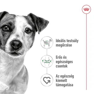 Ideális testsúly megőrzése, erős és egészséges csontok, az egészség kiemelt támogatása – három ikon és magyar szöveg kutya mellett.