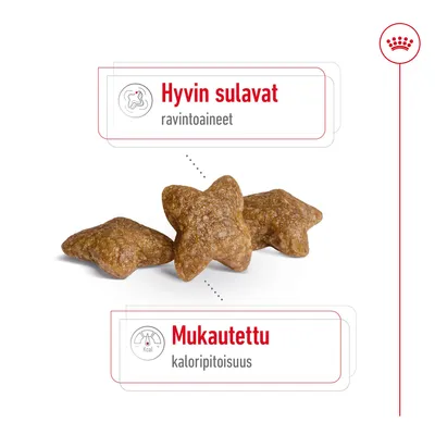 Hyvin sulavat ravintoaineet, mukautettu kaloripitoisuus. Kuvassa tähtiä muistuttavia nappuloita.