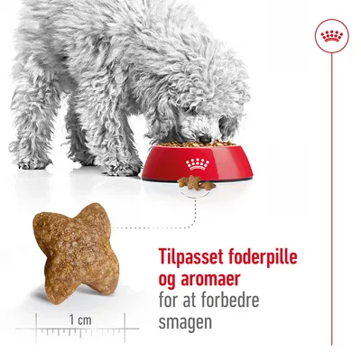 Hund spiser tørfoder fra rød skål, foderpille vist i nærbillede med mål 1 cm. Tekst: Tilpasset foderpille og aromaer for at forbedre smagen.