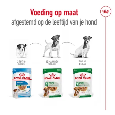Royal Canin hondenvoer: Puppy 2–10 maanden, Mini Adult 10 maanden–8 jaar, Mini Ageing ouder dan 8 jaar. Voeding op maat afgestemd op de leeftijd van je hond.