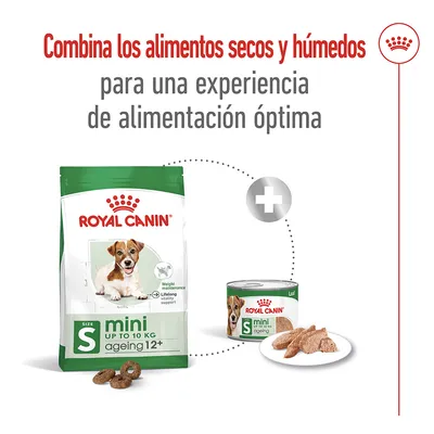 ROYAL CANIN mini ageing 12+ hasta 10 kg, pienso seco y comida húmeda en lata. Texto: Combina los alimentos secos y húmedos para una experiencia de alimentación óptima.