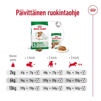 Päivittäinen ruokintaohje Royal Canin Mini Ageing 12+: taulukko koiran painon (2 kg, 6 kg, 10 kg) ja liikunnan määrän mukaan. Esim. 2 kg: 41 g tai 21 g + 1 annospussi.