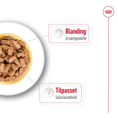 Skål med vådfoder. Tekst: Blanding af næringsstoffer. Tilpasset kalorieindhold.