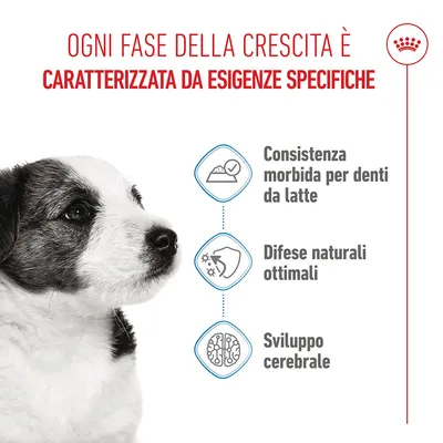 Royal Canin Mini Puppy in salsa