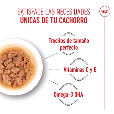 Royal Canin Mini Puppy en salsa Royal Canin Mini Puppy en salsa
