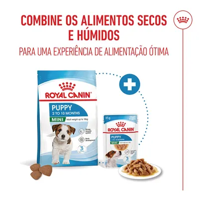 Royal Canin Mini Puppy em molho