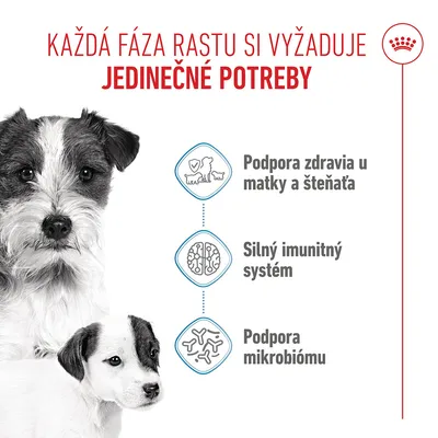 Royal Canin Mini Starter Mother & Babydog