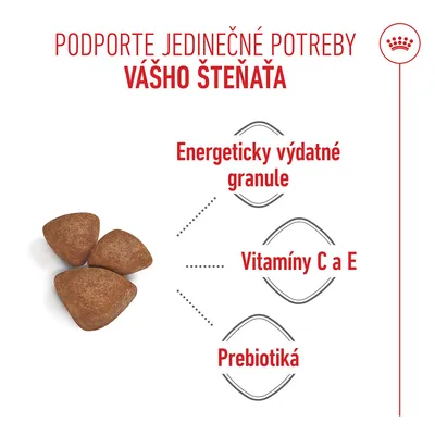 Royal Canin Mini Starter Mother & Babydog