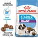 Royal Canin Giant Starter Mother & Babydog