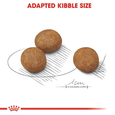 Kolme pyöreää nappulaa, joiden koko verrattuna 1 cm mittaan. Yläreunassa teksti: ADAPTED KIBBLE SIZE.