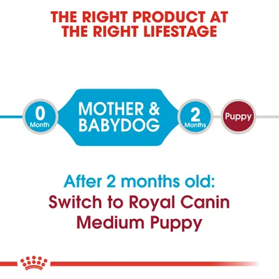 Teksti: The right product at the right lifestage. 0 Month Mother & Babydog, 2 Months Puppy. After 2 months old: Switch to Royal Canin Medium Puppy.