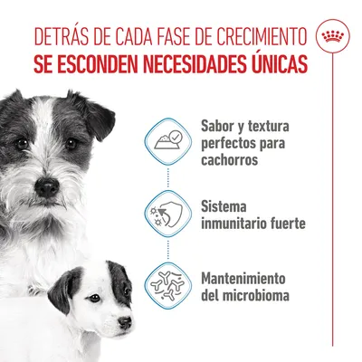 Royal Canin Starter Mousse Mother & Babydog