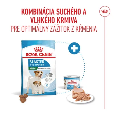 Royal Canin Starter Mother & Babydog Ultra Soft Mousse