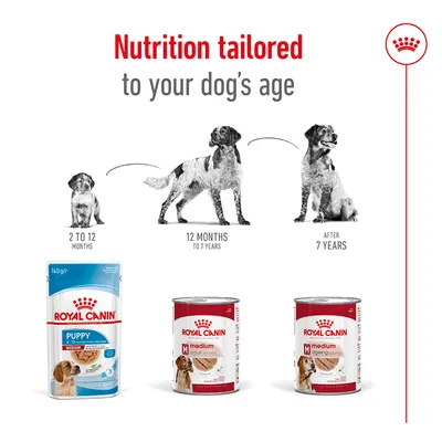 Nutrition tailored to your dog's age, showing three Royal Canin products for different life stages: puppy (2-12 months), adult (12 months-7 years), and ageing (after 7 years).