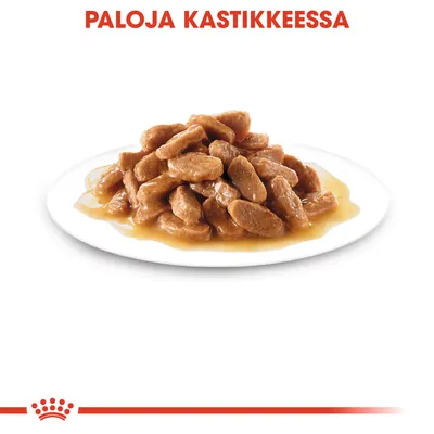 Lautasella paloja kastikkeessa, yläreunassa teksti: PALOJA KASTIKKEESSA
