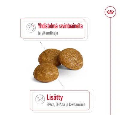 Kolme ruskeaa nappulaa. Teksti: Yhdistelmä ravintoaineita ja vitamiineja. Lisätty EPA:a, DHA:ta ja C-vitamiinia.