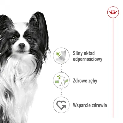 Silny układ odpornościowy, zdrowe zęby, wsparcie zdrowia – tekst i ikony obok czarno-białego psa. Po prawej stronie widoczne czerwone oznaczenie marki Royal Canin.