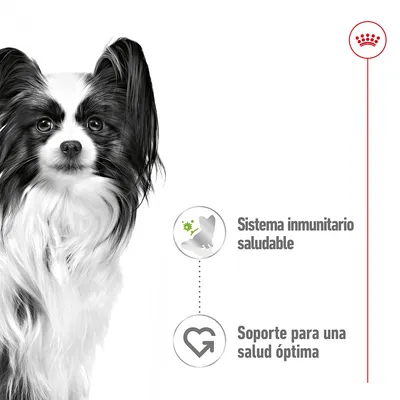 Perro de raza pequeña junto a iconos y texto: 'Sistema inmunitario saludable' y 'Soporte para una salud óptima'. Logotipo de Royal Canin en la esquina superior derecha.
