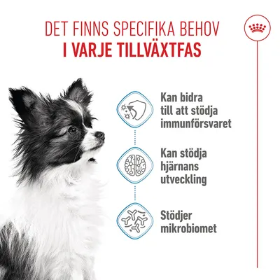Text: Det finns specifika behov i varje tillväxtfas. Kan bidra till att stödja immunförsvaret, kan stödja hjärnans utveckling, stödjer mikrobiomet. Bild på liten hund.
